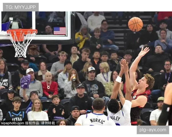 怀特三分威胁视角下，新型新闻报道揭示社会安全新挑战