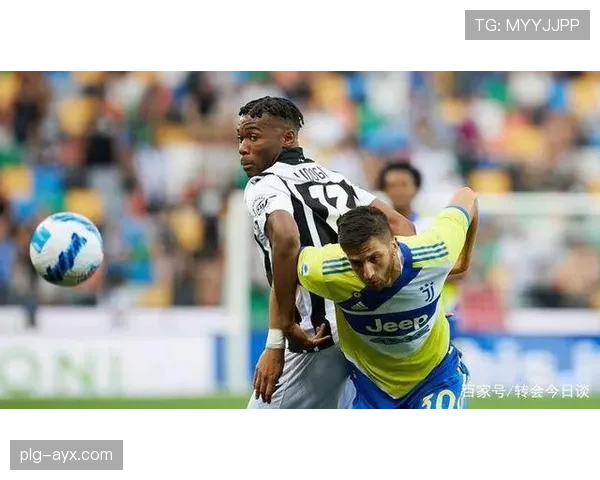 乌多吉助攻助力球队逆转出色表现引发媒体热议