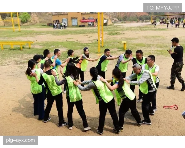 特奥战术持续进化，团队竞技水平与协作默契显著提升