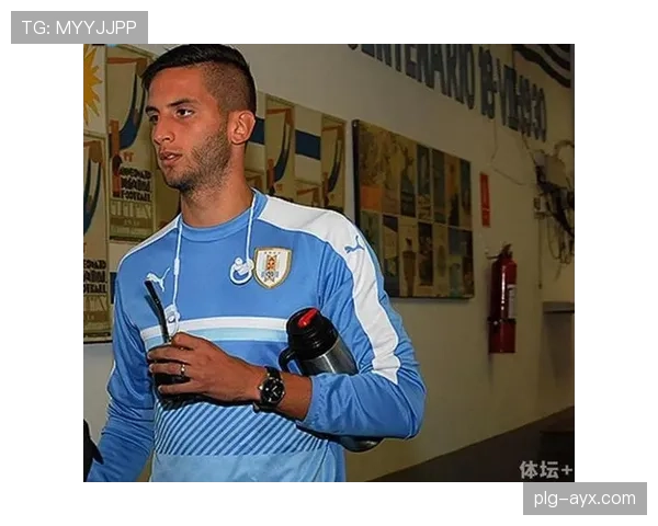 本坦库尔世界杯表现解析