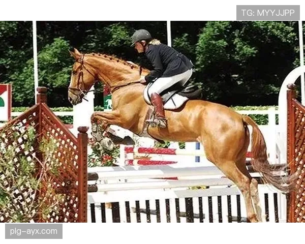 富里睡醒发现自家马场又多两匹纯血马，这月第几次了？